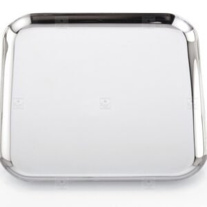 KESARIYA 10 INCHES SQUARE CHINA PLATE